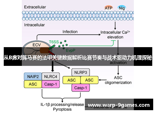 从B席对阵马赛的法甲关键数据解析比赛节奏与战术驱动力机理探秘